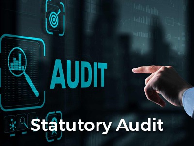 Statutory Audit